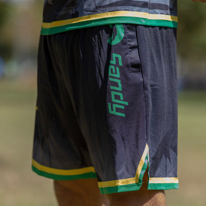 Sandy Retro Brasil